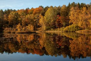 10 % Herbst-Rabatt beim Bootsverleih Rumtreiber in Erkner